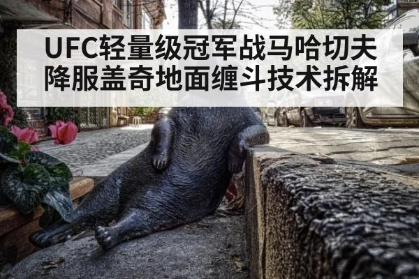 UFC轻量级冠军战马哈切夫降服盖奇地面缠斗技术拆解